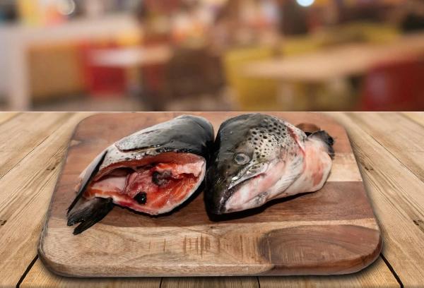 Tasmanian Salmon Heads Dog Bones