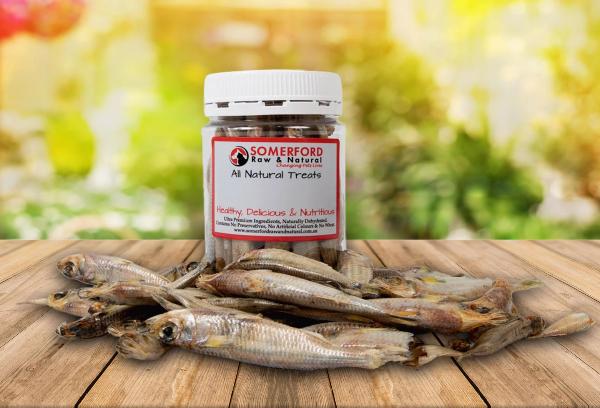 Whole Hardie Head Fish Dog or Cat Treats