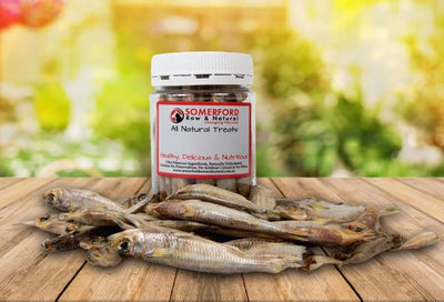 Whole Hardie Head Fish Dog or Cat Treats