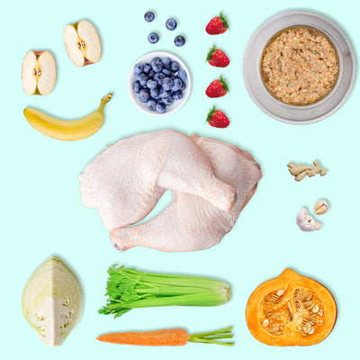 Turkey (5kg) – Low Purine