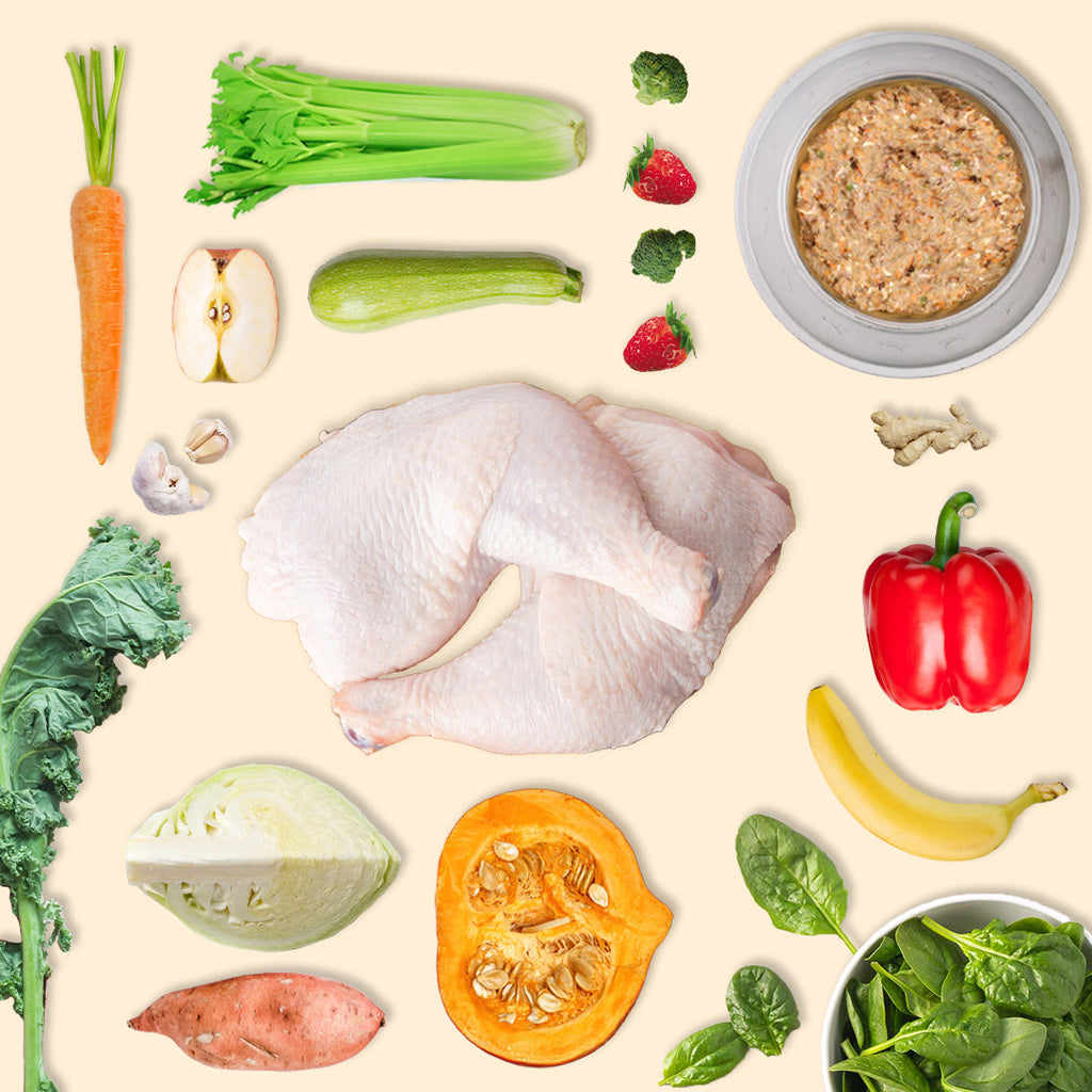 Adult Poultry & Fish Value Pack