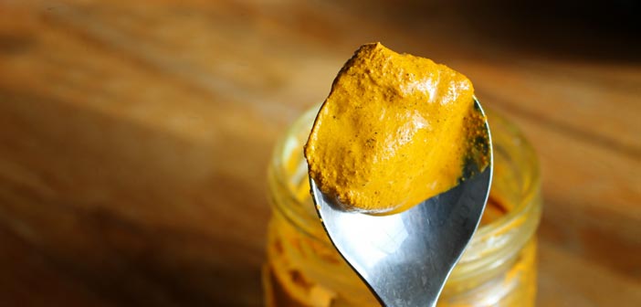 Golden Paste for Dogs & Cats