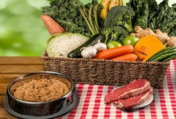 Somerford Raw & Natural Puppy Food New England Beef & Veg Pack + FREE Meaty Bones