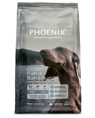Phoenix - Grain Free Ocean Fish & Barramundi