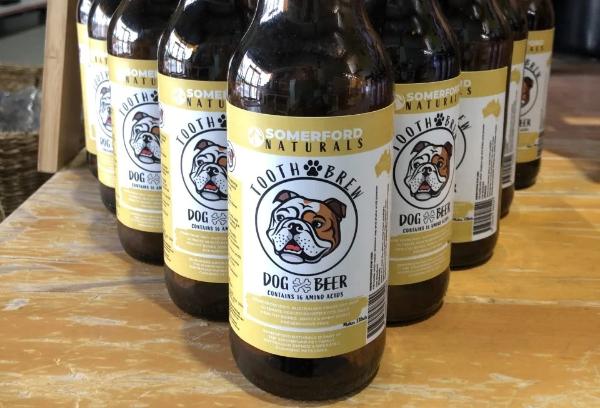 Dog Beer